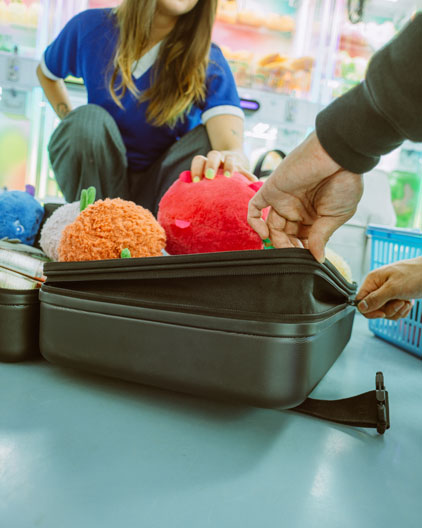 Expandable Luggage