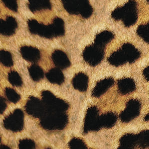 Digi Leopard