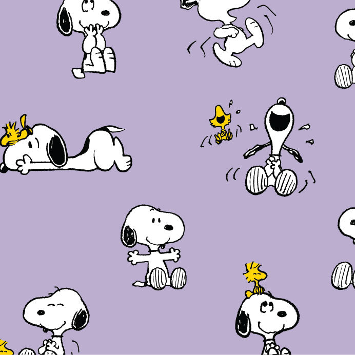 Snoopy and Woodstock Pastel Lc