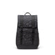Black Tonal Daisy