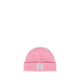 Cashmere Rose